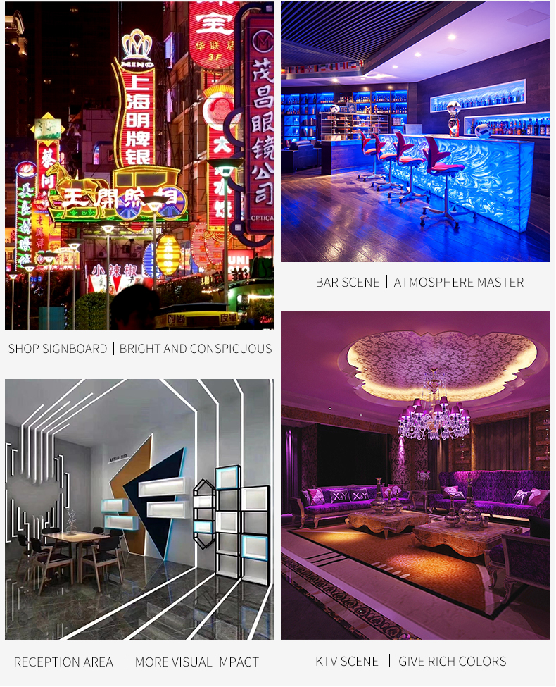 LED Neon Flex Lights