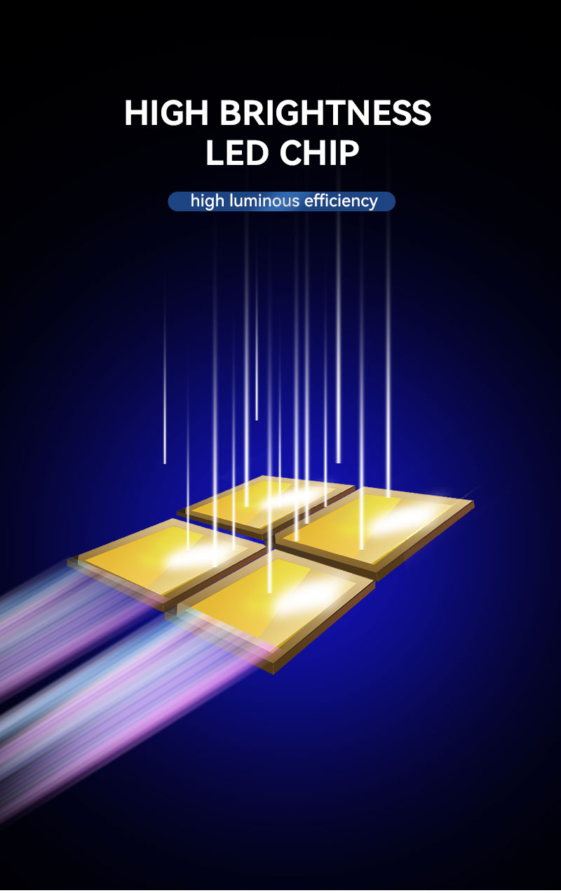 10mm PCB 2835 LED Strip 240 LEDs 10mm PCB 2835 LED Strip 240 LEDs